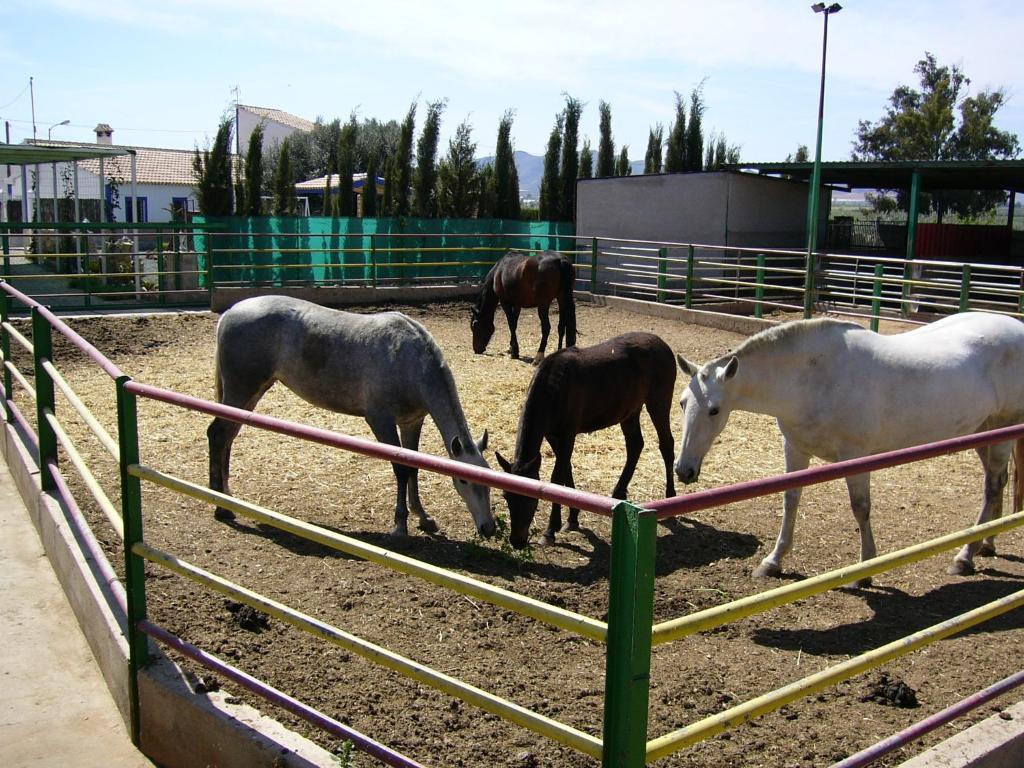 La Escucha Casa Rural La Noria מראה חיצוני תמונה